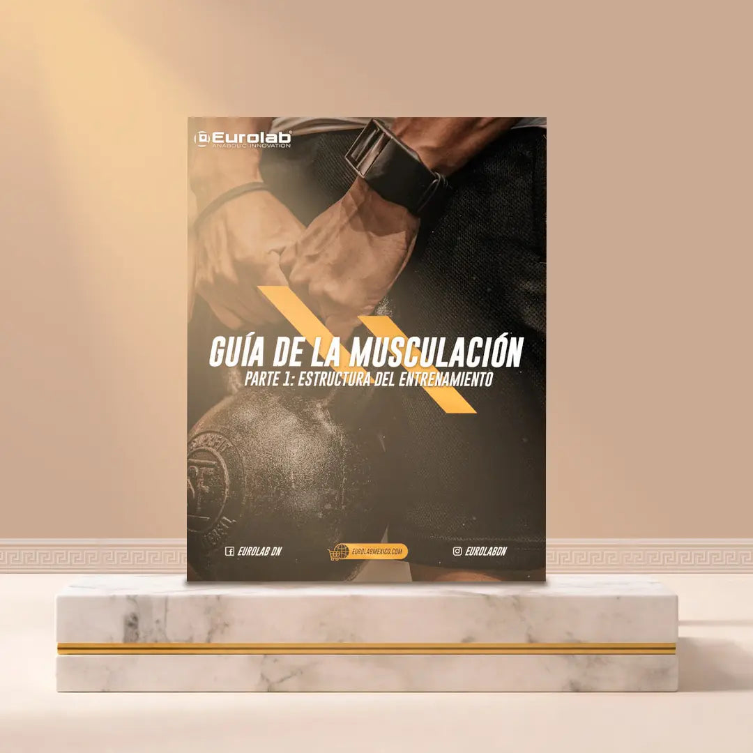 Guía de la musculación parte 1