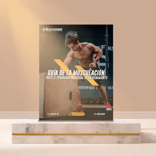 Guía de la musculación parte 2