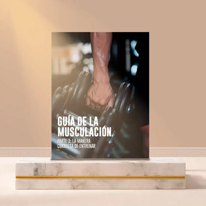 Guía de la musculación parte 3