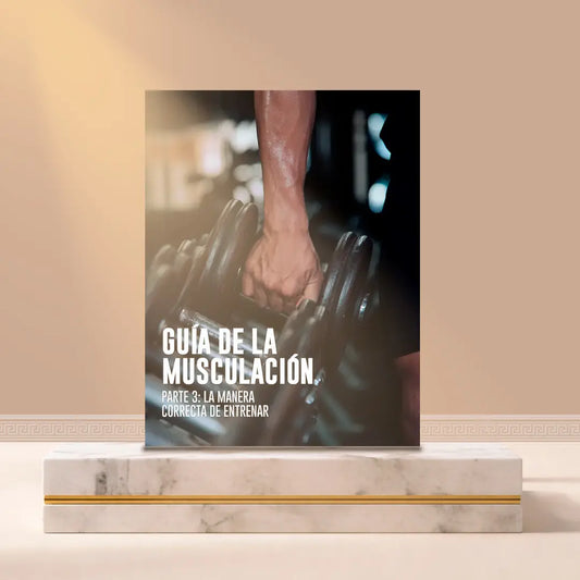 Guía de la musculación parte 3